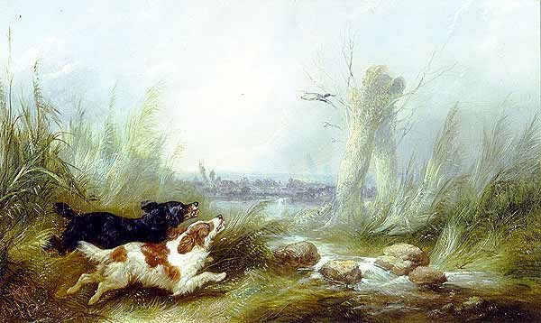 George Armfield Spaniels Putting Up a Mallard
